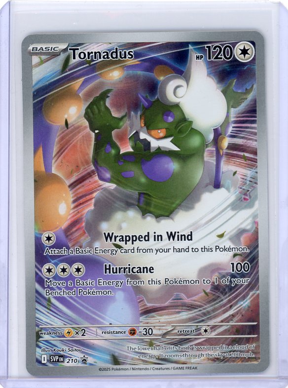 Pokemon: Tornadus SV: Scarlet & Violet Promo Cards #210