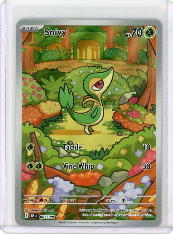 Pokemon: Snivy SV: Black Bolt #087/086