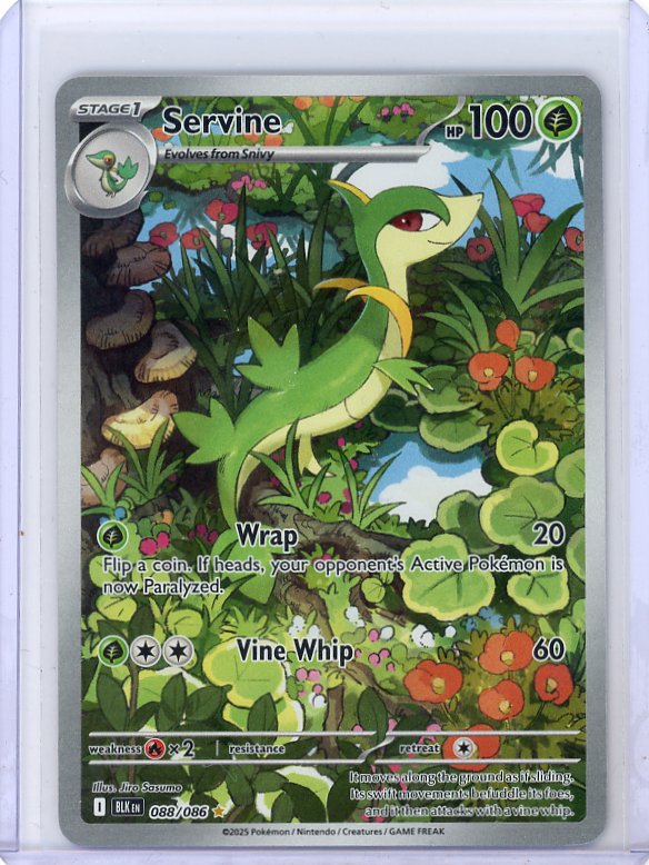 Pokemon: Servine SV: Black Bolt #088/086