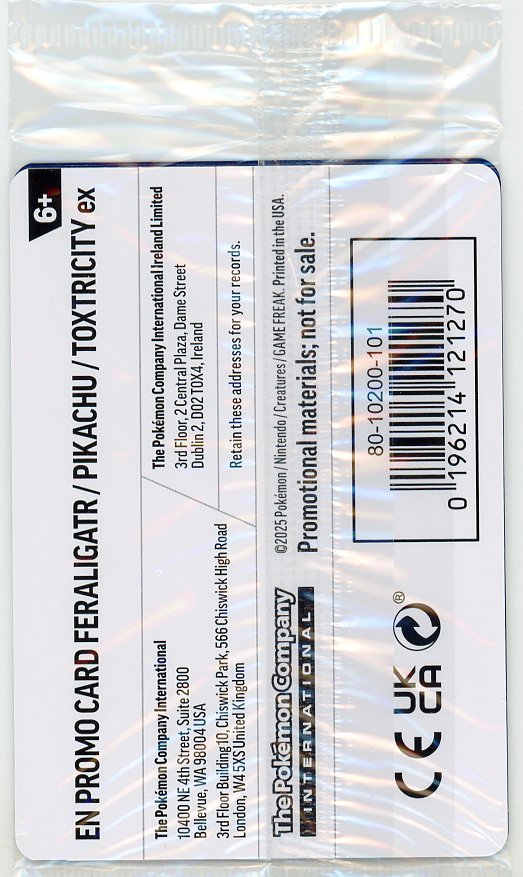 Pokemon: Special Illustration Contest 2024 SV: Scarlet & Violet Promo Cards #213