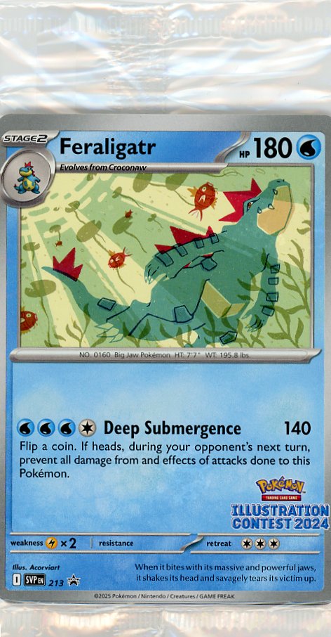 Pokemon: Special Illustration Contest 2024 SV: Scarlet & Violet Promo Cards #213