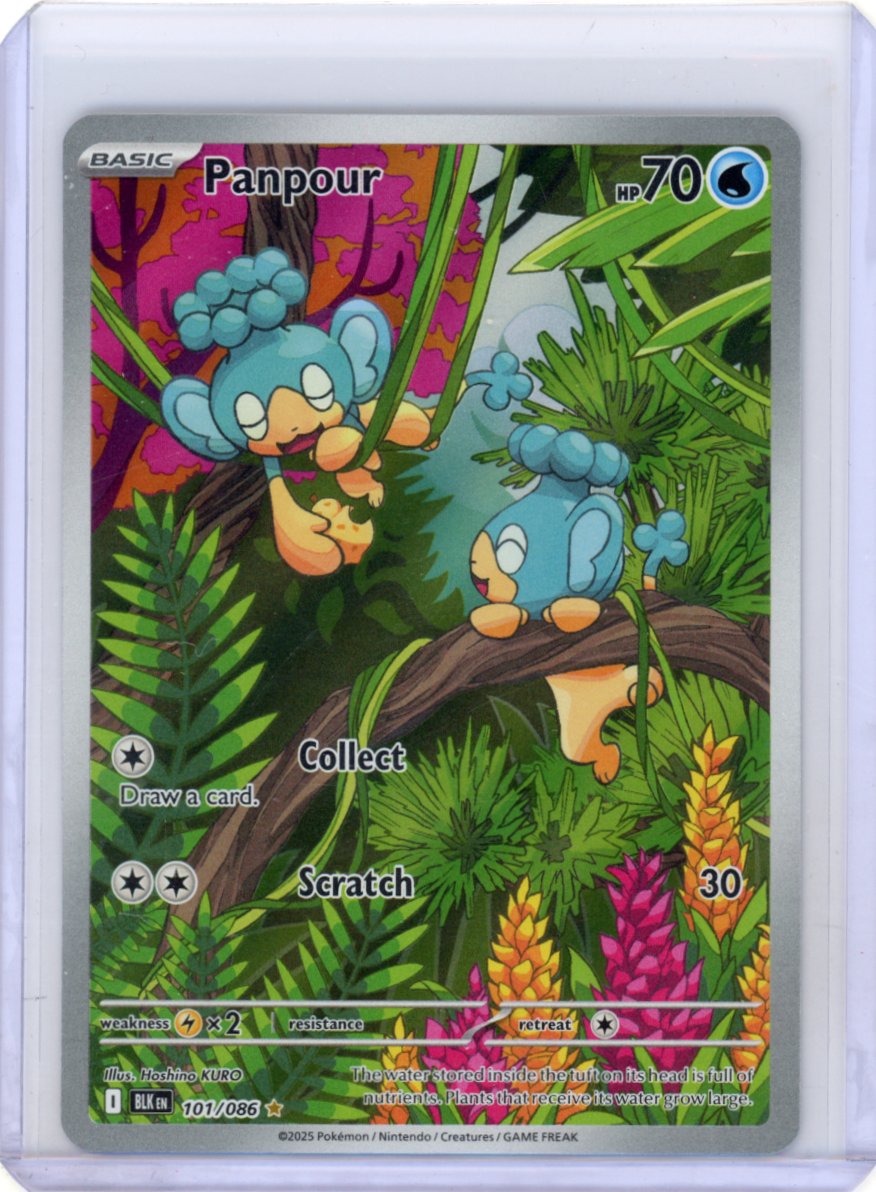 Panpour - SV: Black Bolt #101/086