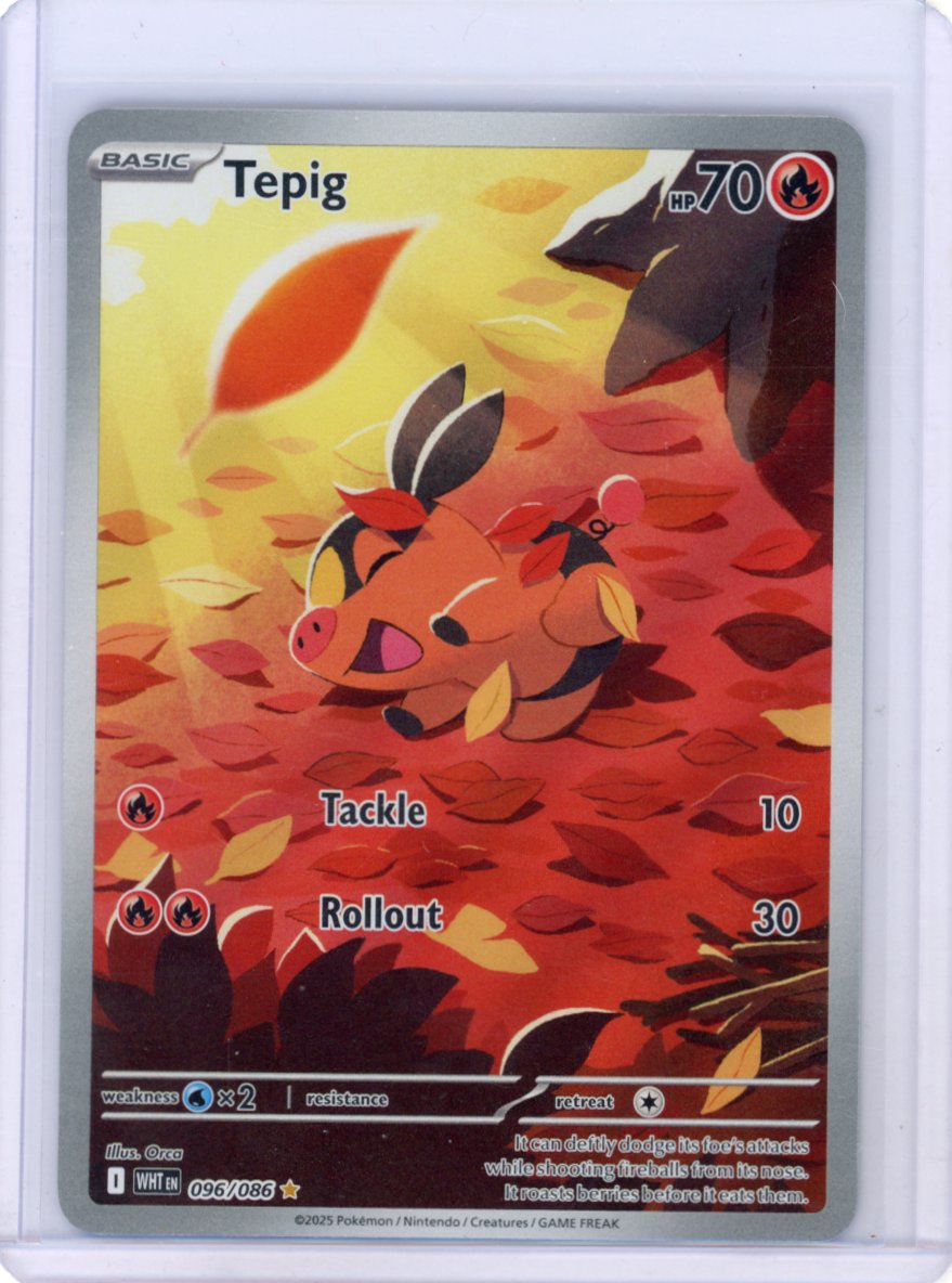 Tepig - SV: White Flare #096/086