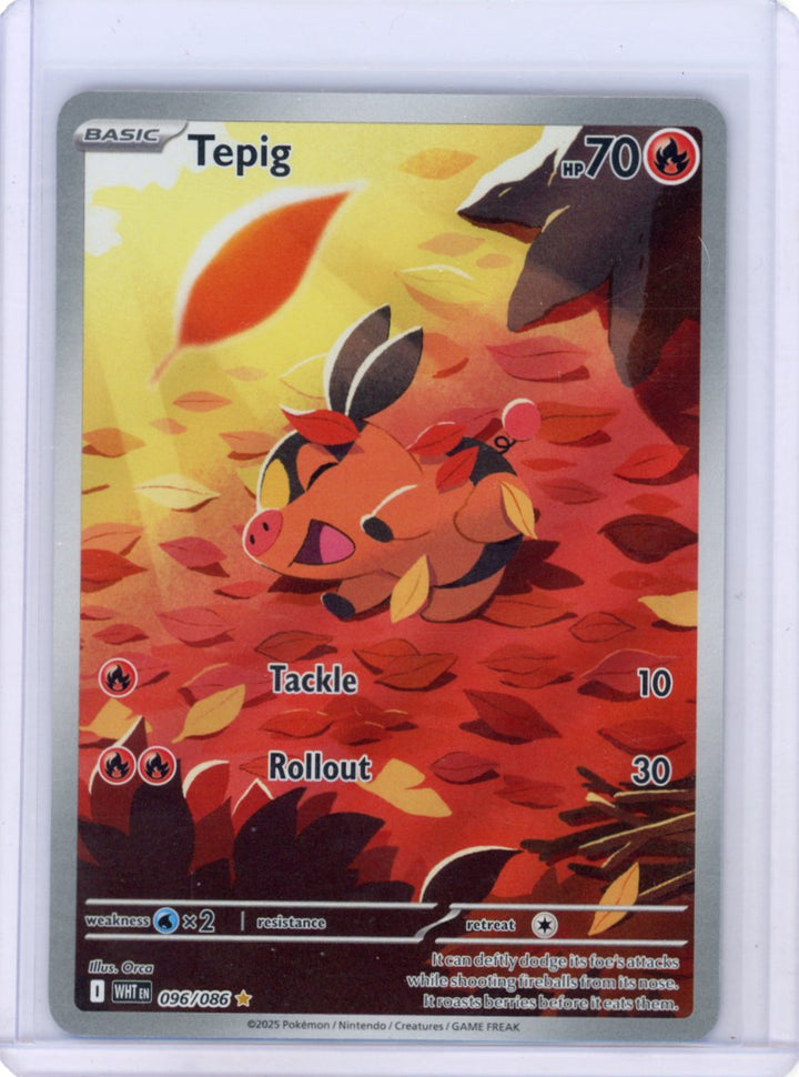 Tepig - SV: White Flare #096/086