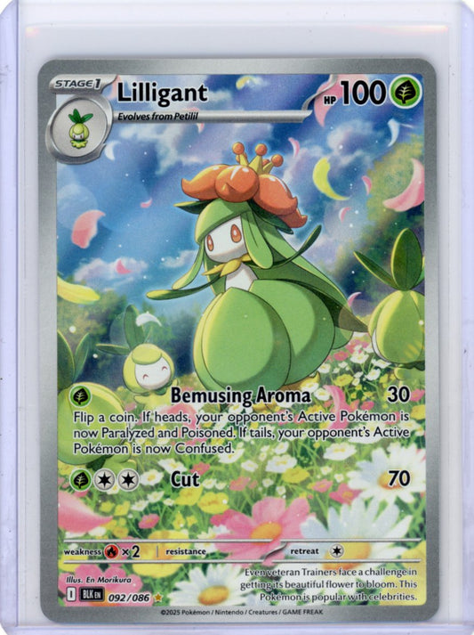 Pokemon: Lilligant - Black Bolt #092/086
