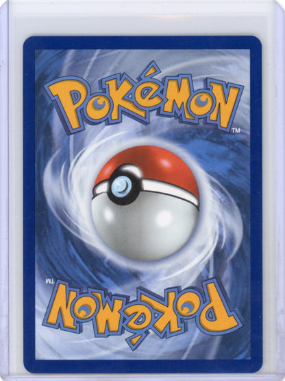 Pokemon: Squirtle - Mega Evolution Promo #039