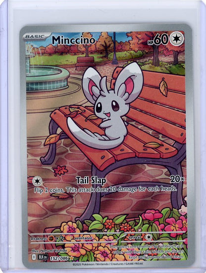 Pokemon: Minccino - Black Bolt #152/086