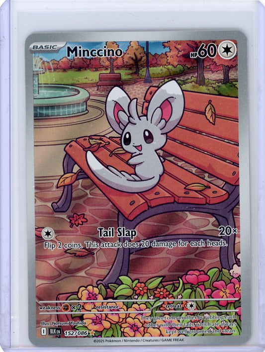 Pokemon: Minccino - Black Bolt #152/086