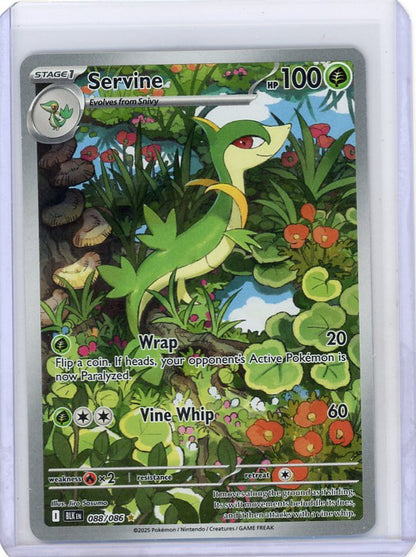 Pokemon: Servine SV: Black Bolt #088/086