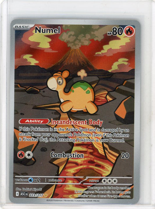 Pokemon: Numel - Ascended Heroes #223/217