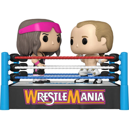 Bret "Hitman" Hart and Shawn Michaels