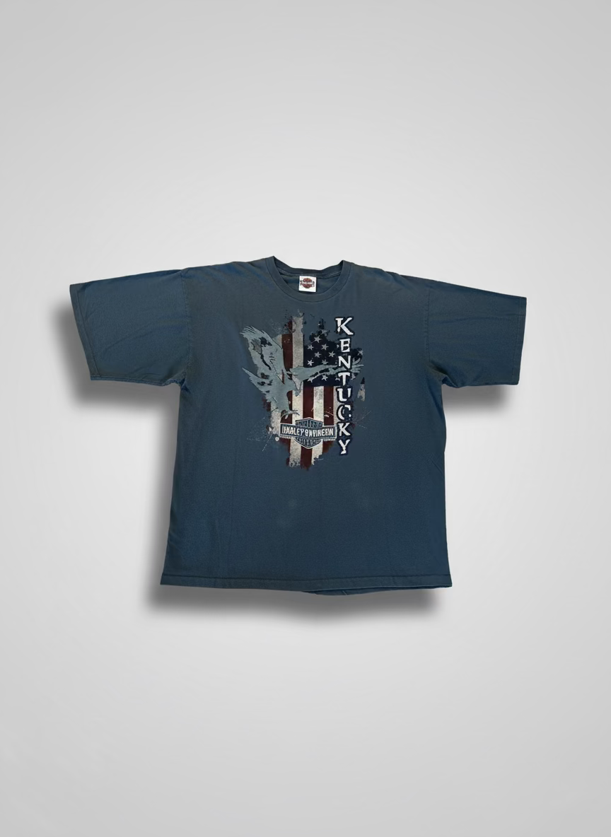 2012 Harley Davidson T-Shirt