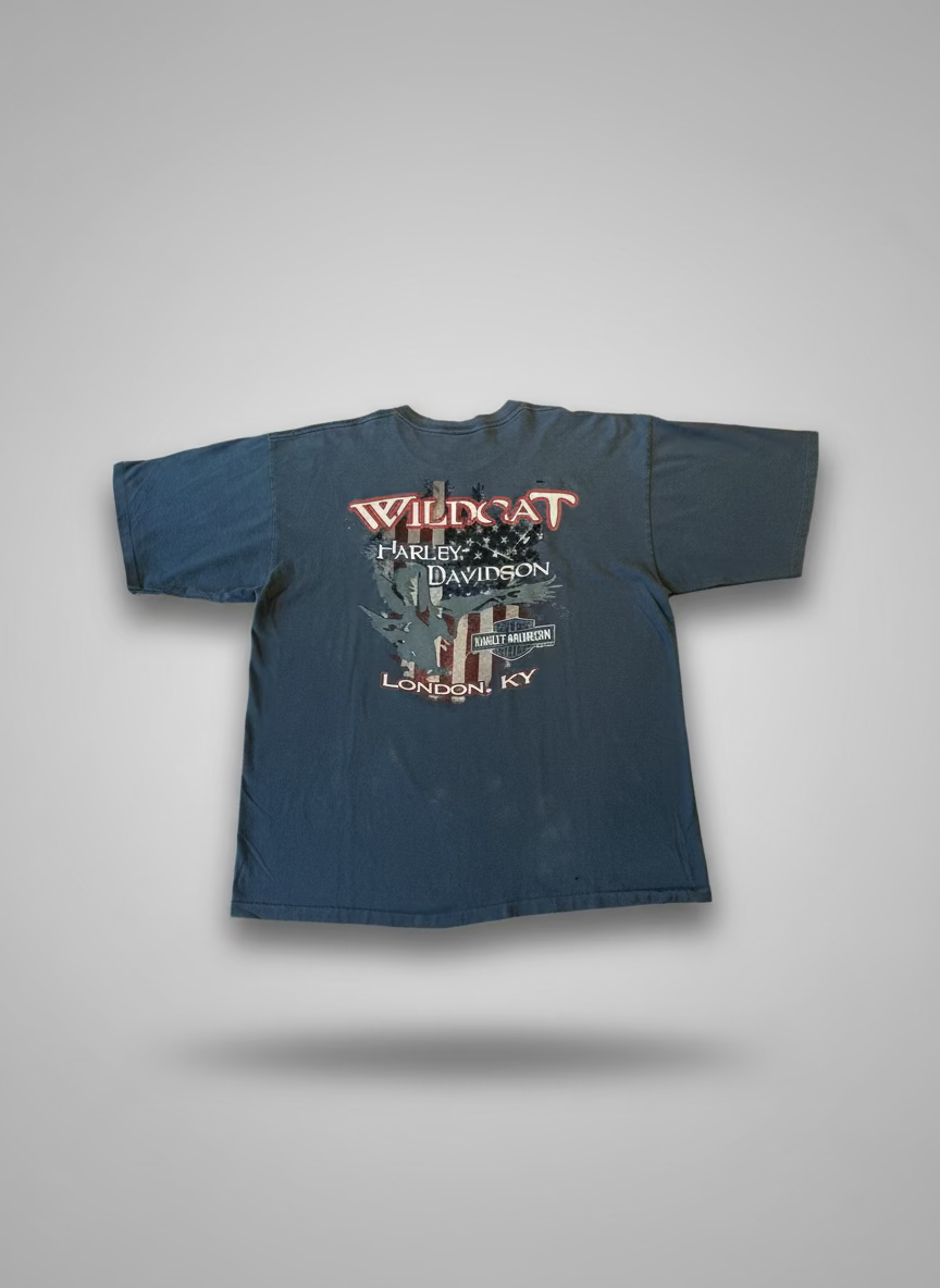 2012 Harley Davidson T-Shirt